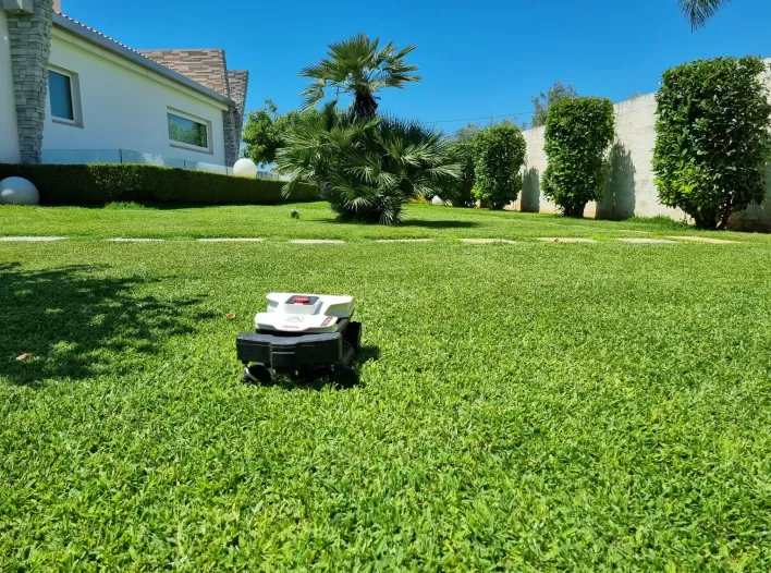 Giulio Bellan_ #Shareyourexperience_2