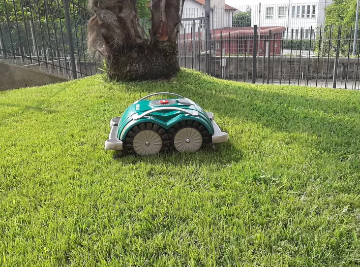 Riccardo Succo_ #Shareyourexperience_2