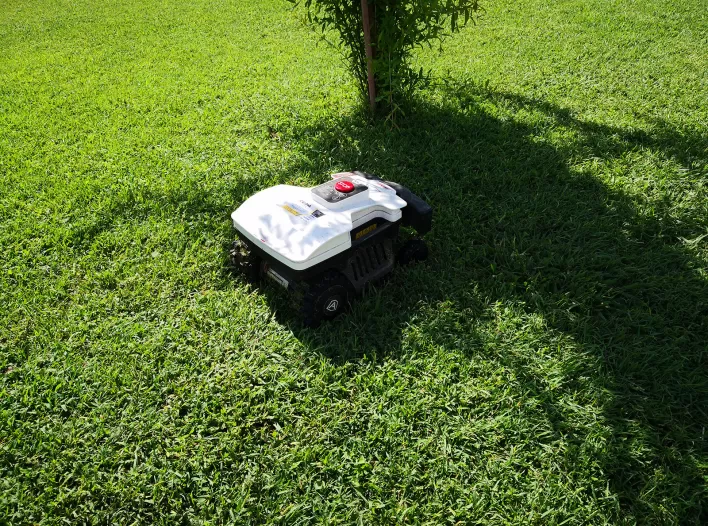 Ambrogio Recensione Domenico Vacirca 02