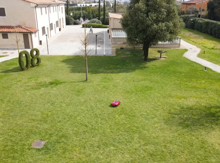 Recensione Ambrogio Vannucci Piante 03