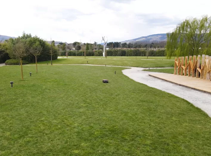 Recensione Ambrogio Vannucci Piante 04