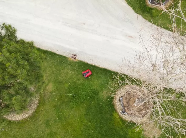 Recensione Ambrogio Vannucci Piante 05